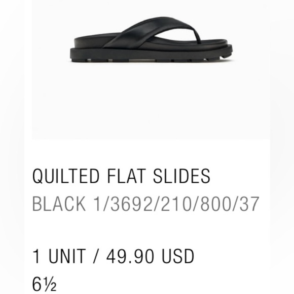 Zara Thong Platform Sandals